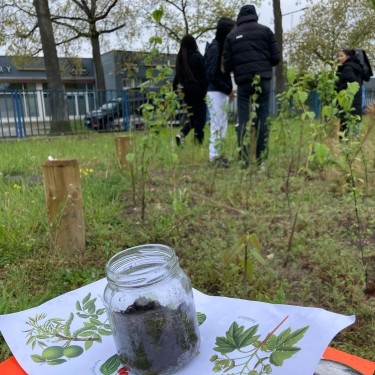 Pflanz was!-Stadtgarten in Berlin | Tiny Forest | Bildungsworkshop