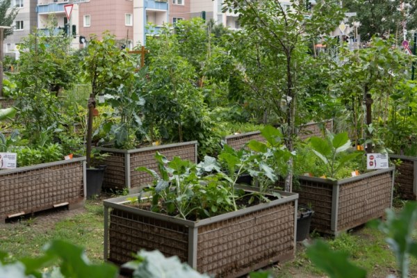 Pflanz was!-Stadtgarten in Berlin Mitte am Heizkraftwerk Mitte