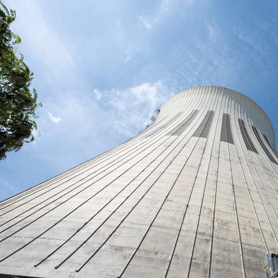Kühlturm am Standort Reuter West: Umweltverbände rund um den BUND haben eine Stellungnahme zum BEW-Einsatz von Biomasse veröffentlicht. Wir ordnen die wichtigsten Behauptungen ein und liefern Fakten.