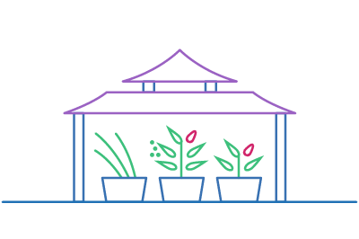 Pflanz was!-Stadtgarten in Berlin Mitte - Illustration Asiatischer Kräutergarten