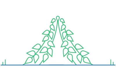 Pflanz was!-Stadtgarten in Berlin Mitte - Illustration Bohnenzelt